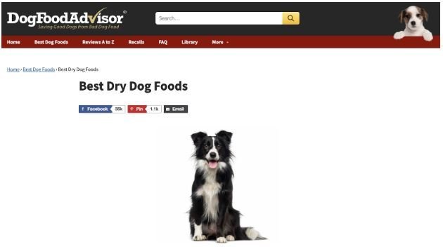 Dog Food Advisor Top Money Genarating Page